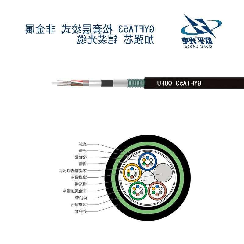 伊春市GYFTA53光缆